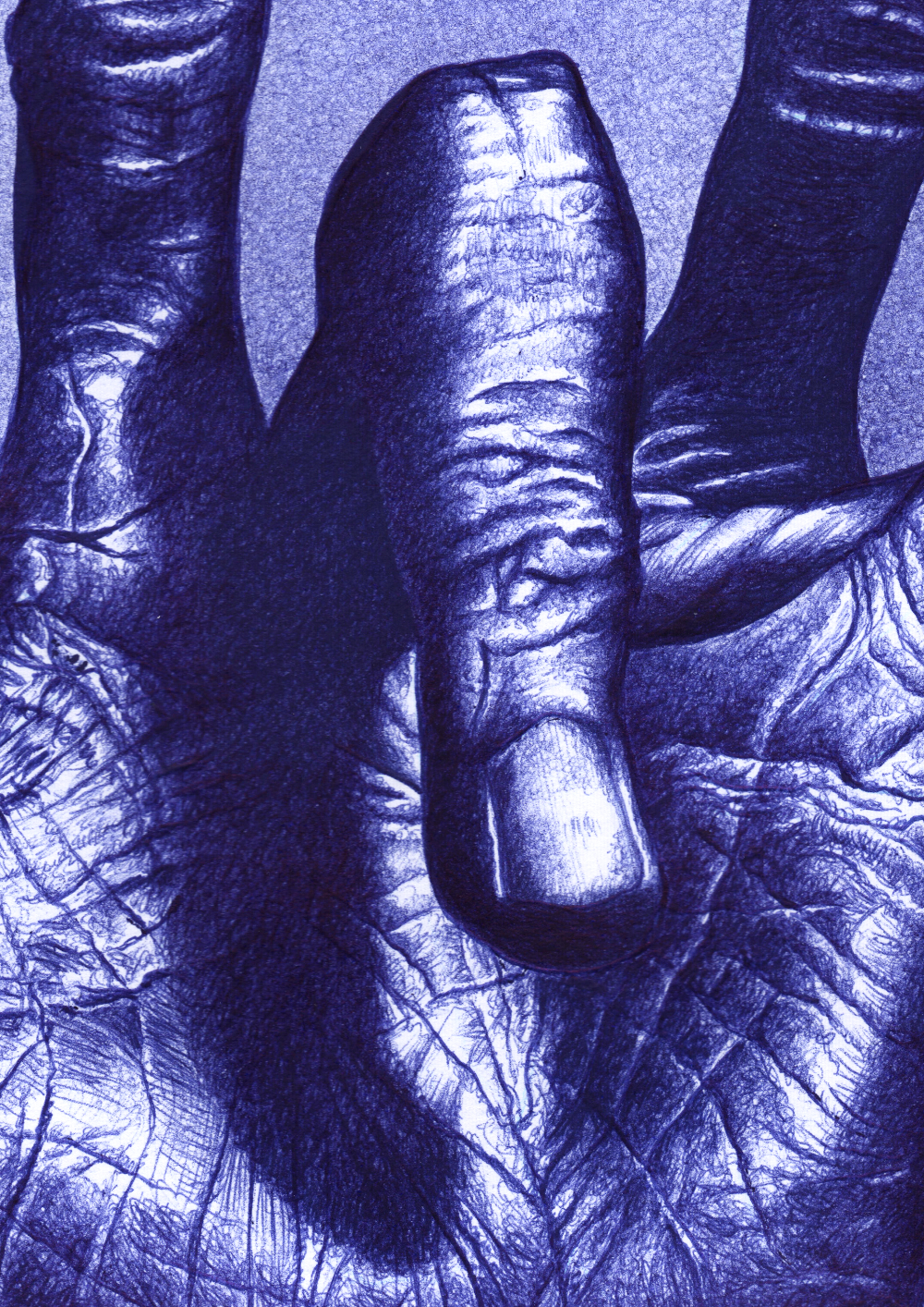 Kugelschreiber-Zeichnung Portrait von der Hand von Miles Davis/ballpen drawing of the hand of Miles Davis