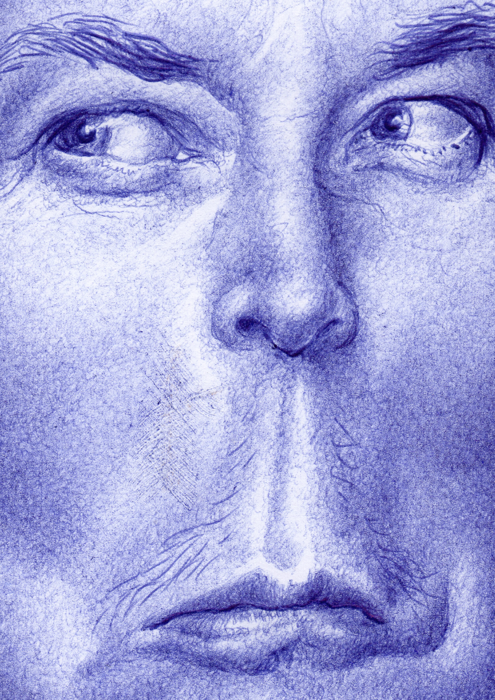 Kugelschreiber-Zeichnung Portrait von Elon Musk/ballpen drawing of Elon Musk