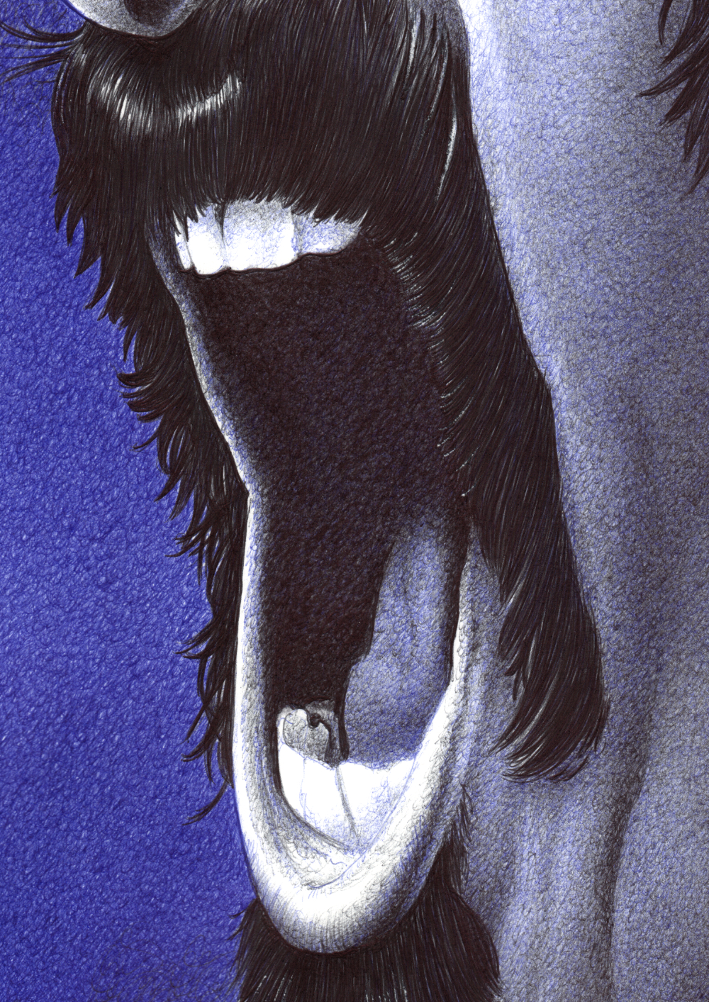 Kugelschreiber-Zeichnung Portrait von Frank Zappa | ballpen drawing of Frank Zappa "Chunga‘s Revenge"