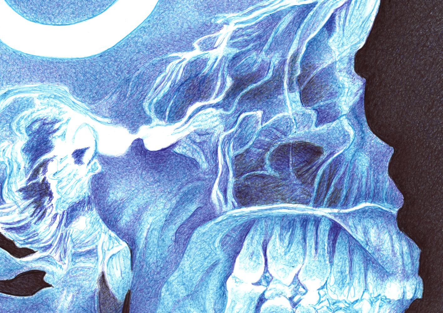 Kugelschreiber-Zeichnung Killswitch – Röntgenbild menschlicher Schädel | ballpen drawing Killswitch – X-ray photograph of a human skull