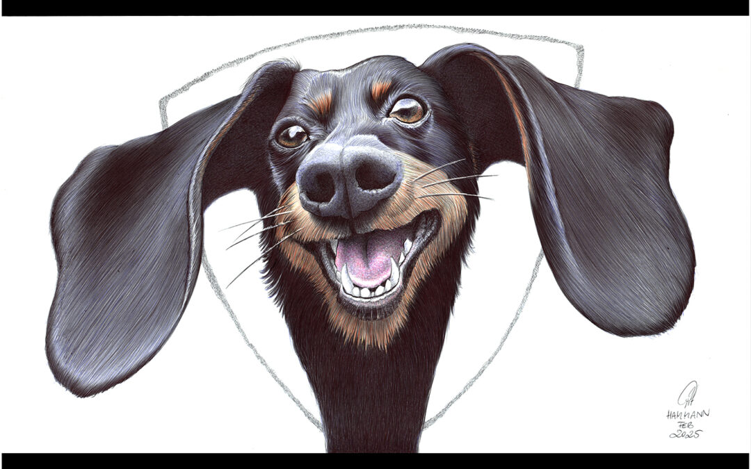 Kugelschreiber-Zeichnung Portrait Fido | ballpen drawing Fido