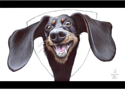 Kugelschreiber-Zeichnung Portrait Fido | ballpen drawing Fido