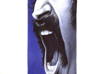 Kugelschreiber-Zeichnung Portrait von Frank Zappa | ballpen drawing of Frank Zappa "Chunga‘s Revenge"