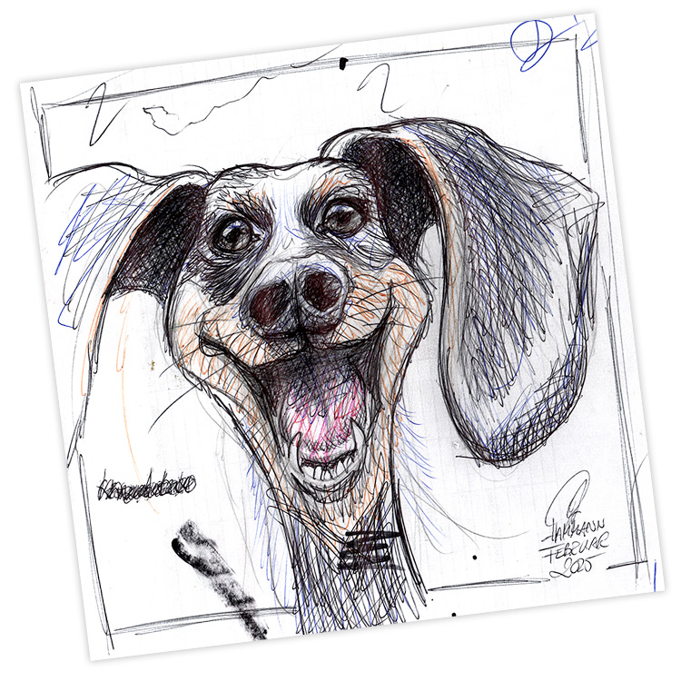 Kugelschreiber-Skizze Fido | ballpen sketch Fido